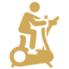 icon1